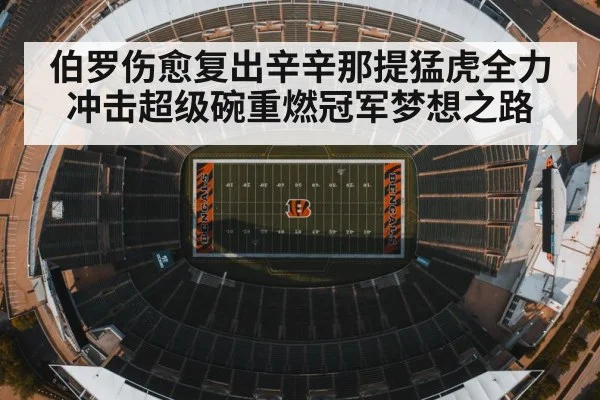 伯罗伤愈复出辛辛那提猛虎全力冲击超级碗重燃冠军梦想之路