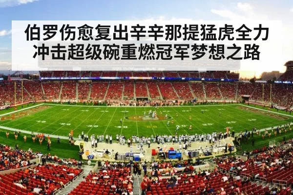 NFL stadium